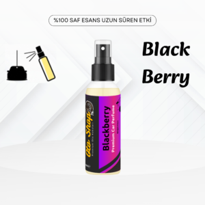 BlackBerry Sprey Oto Kokusu 30ML